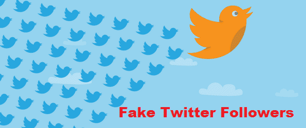 Fake Twitter Followers