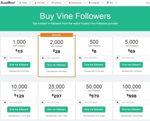 Social Boost Buy Vine Followers