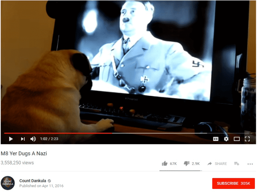 count dankula nazi dog video