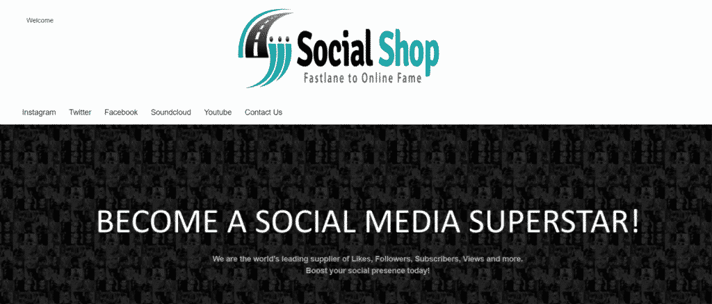 SocialShop Services Homepage (1)