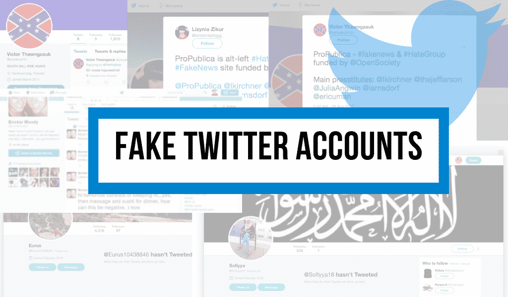 How to Identify Fake Twitter Followers