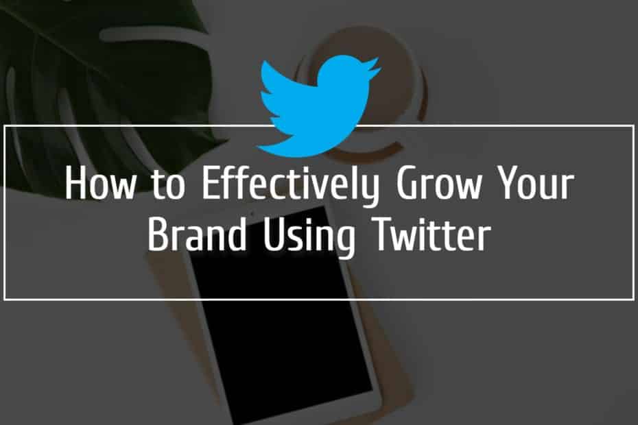 How to Effectively Grow Your Brand Using Twitter