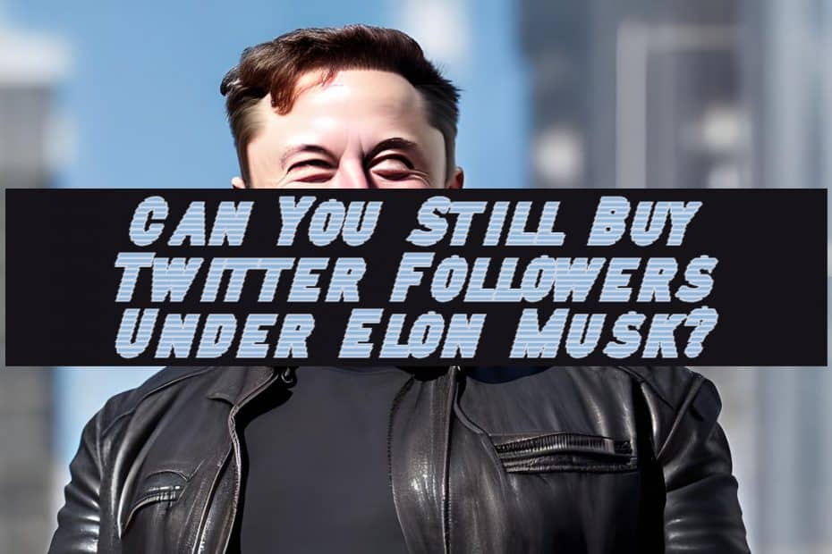 Can You Still Buy Twitter Followers Under Elon Musk?